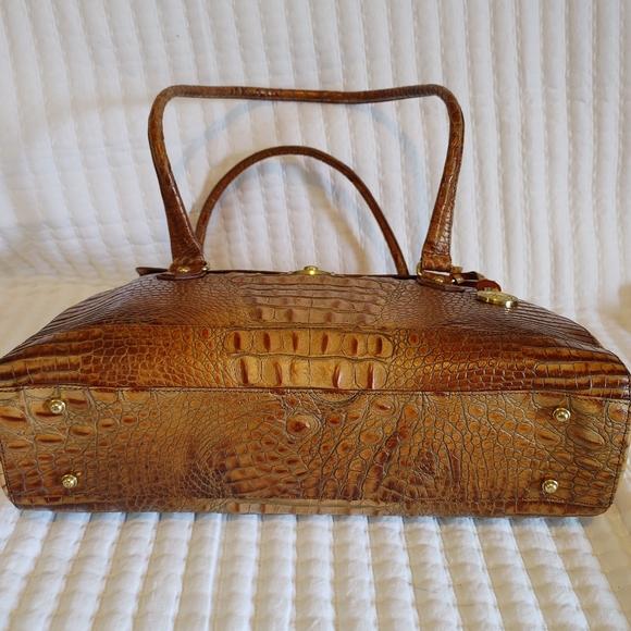 Brahmin - Picture 2 of 5